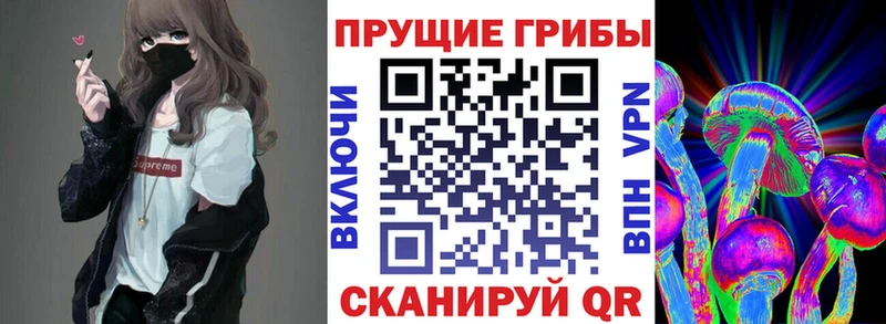 Галлюциногенные грибы Cubensis  Далматово 