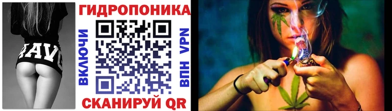 закладки  Далматово  Канабис тримм 